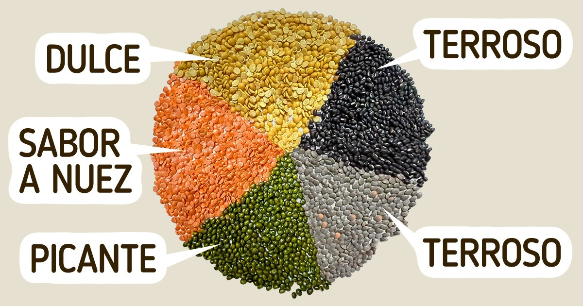 Diferentes tipos de legumbres secas