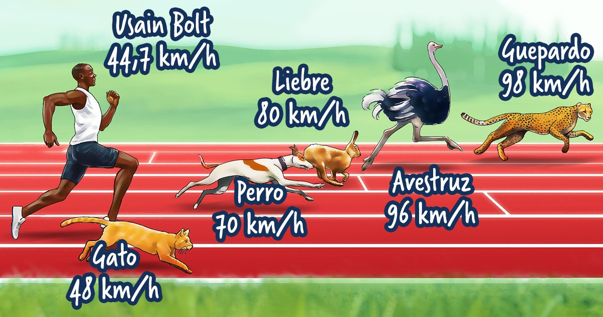 Quién es el corredor más rápido de la Tierra