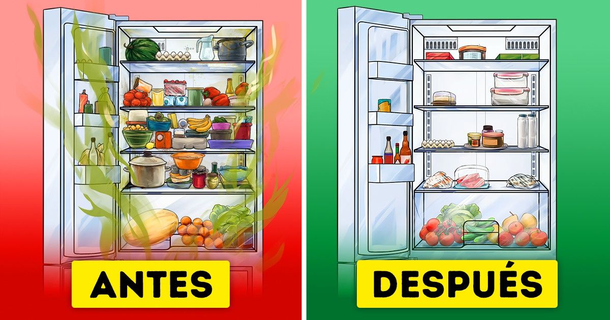 Cómo organizar tu refrigerador