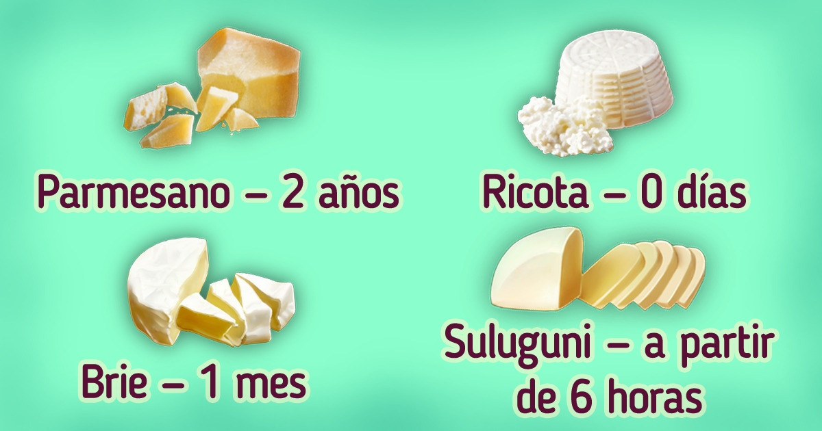 Cómo maduran diferentes tipos de quesos y por qué tienen agujeros en su interior
