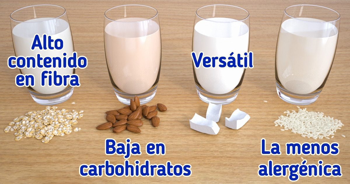 Guía de los distintos tipos de leche de origen vegetal