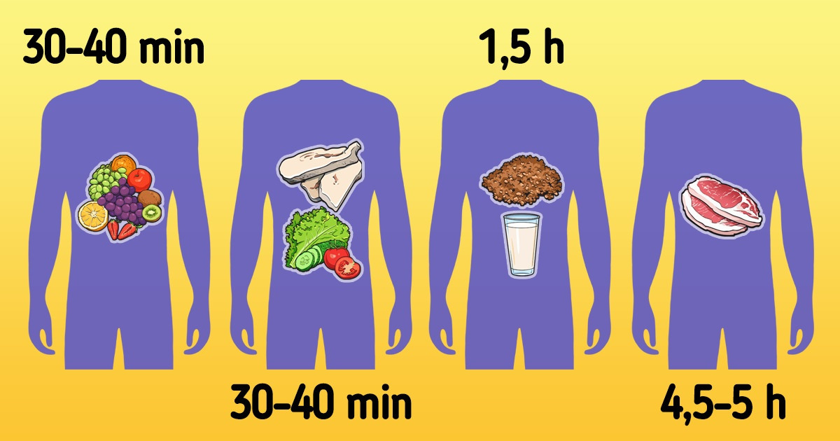Por qué es importante conocer el tiempo de digestión de los alimentos