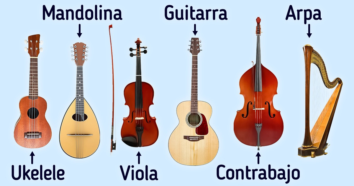 Guía de instrumentos musicales cuerda