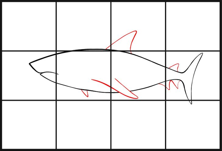 Cómo dibujar un tiburón