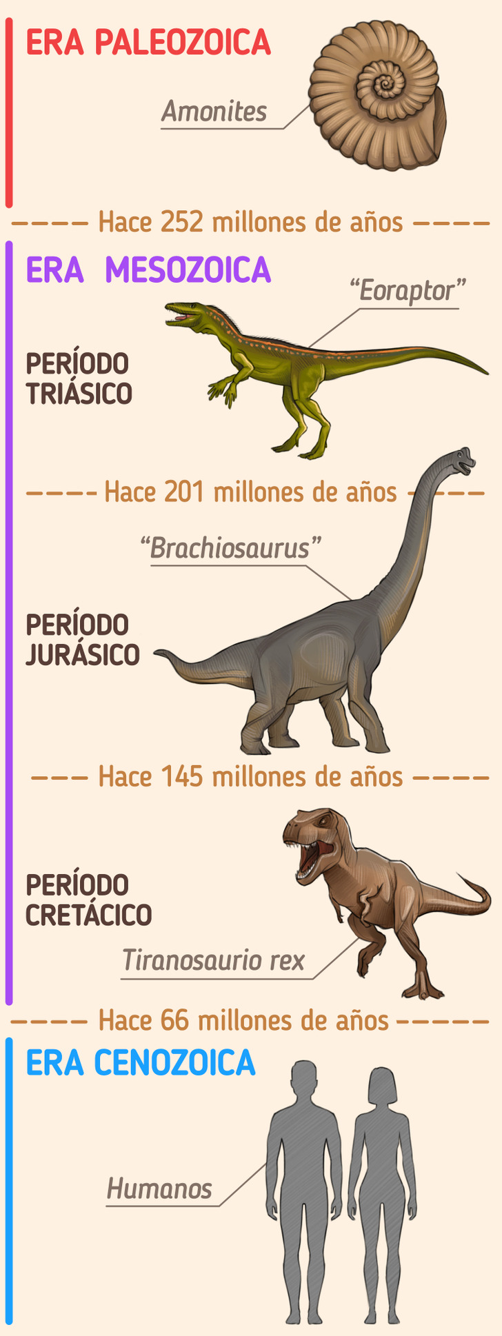 Guía de los distintos tipos de dinosaurios / Ideas En 5 Minutos